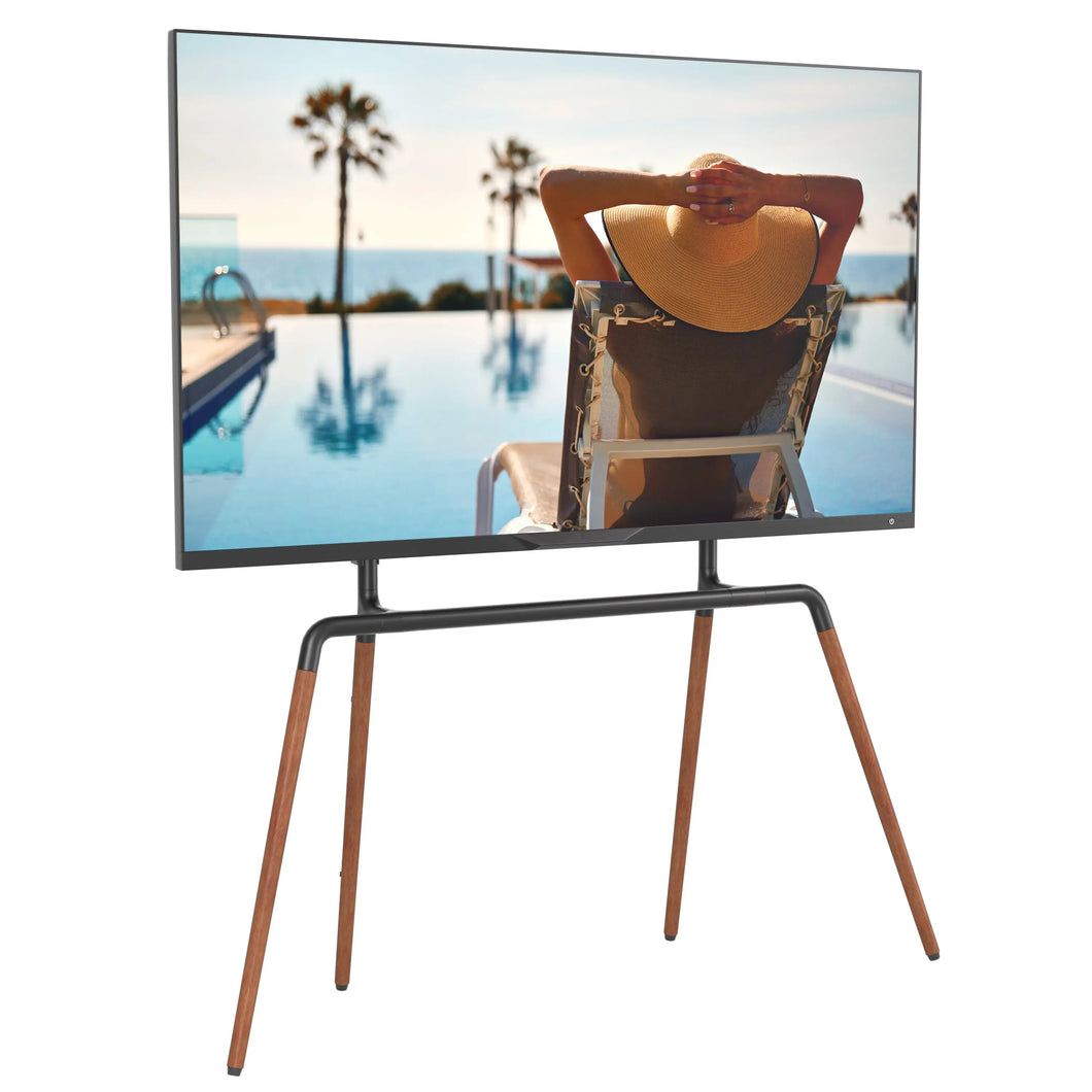 ProMounts Easel TV Stand Mount For 42